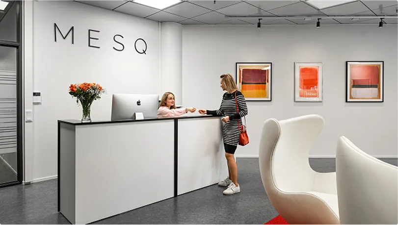 MESQ about us