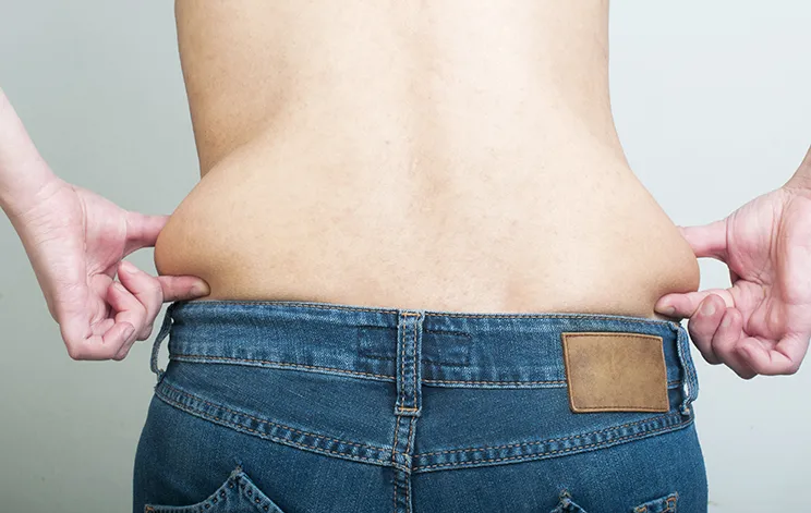 Love handles image 1