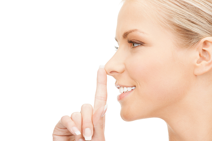 Nose shape image 2
